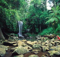 Tamborine National Park - Holiday Jervis Bay