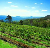 Preston Peak Wines - Holiday Jervis Bay