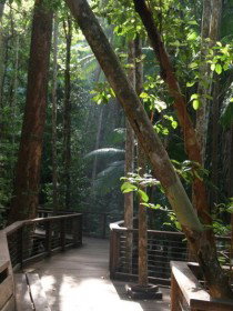 Basin Lake Track - Holiday Jervis Bay 0