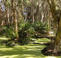 Arkarra Lagoons and Tea Gardens - Holiday Jervis Bay