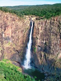 Gugigugi (Butterfly) Walk, Wet Tropics Great Walk - Holiday Jervis Bay 0