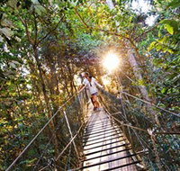 Tree Top Walkway - Holiday Jervis Bay