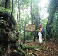 Tooloona Creek circuit - Holiday Jervis Bay