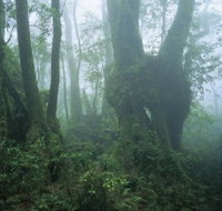 West Canungra Creek Circuit - Holiday Jervis Bay