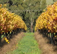 Wild Dog Winery  Restaurant - Holiday Jervis Bay