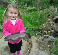 Wild Food Farm  Cafe - Holiday Jervis Bay