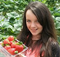 Yarra Valley Gateway Estate - Holiday Jervis Bay