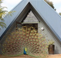 Halls Gap Zoo - Holiday Jervis Bay