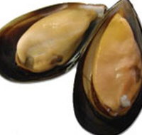 Sea Bounty - Holiday Jervis Bay