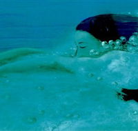 Muse - Holiday Jervis Bay