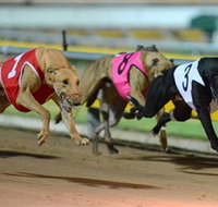 The Beckley Centre - Holiday Jervis Bay