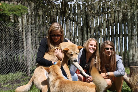 Great Ocean Road Wildlife Park - Holiday Jervis Bay 3