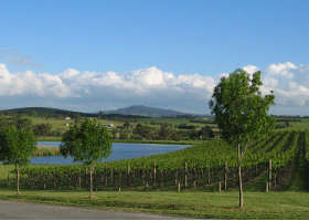 Yarrawood Estate - Holiday Jervis Bay 0