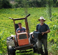 Kellybrook Winery  Kelly Brothers Cider - Holiday Jervis Bay