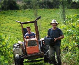 Kellybrook Winery & Kelly Brothers Cider - Holiday Jervis Bay 0