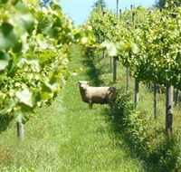 Passing Clouds - Holiday Jervis Bay
