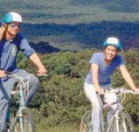 Lysterfield Park - Holiday Jervis Bay