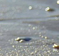 Cape Liptrap Coastal Park - Holiday Jervis Bay