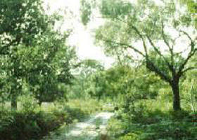 Holey Plains State Park - Holiday Jervis Bay 0