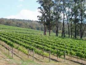 Piedmont Vineyard - Holiday Jervis Bay 0