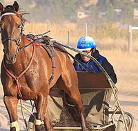 Ballarat  District Trotting Club - Holiday Jervis Bay