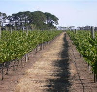 Mount Beckworth Wines - Holiday Jervis Bay