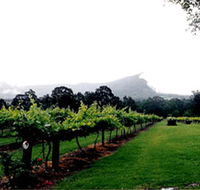 Cambewarra Estate Wines - Holiday Jervis Bay