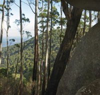 Gulaga National Park - Holiday Jervis Bay