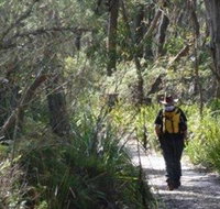 Barren Grounds Nature Reserve - Holiday Jervis Bay
