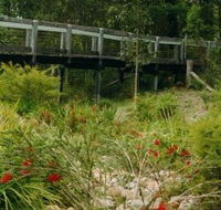 Eurobodalla Botanic Gardens - Holiday Jervis Bay