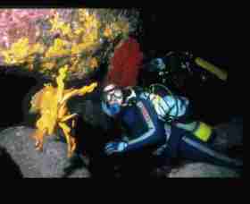 Solitary Islands Marine Park - Holiday Jervis Bay 0