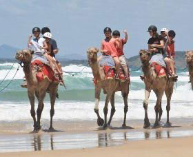 Camel Rides With Coffs Coast Camels - Holiday Jervis Bay 0