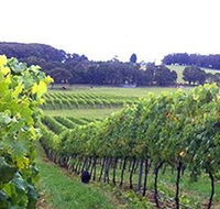Banjo's Run Winery and Vineyard - Holiday Jervis Bay