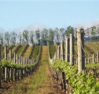 Philip Shaw Wines - Holiday Jervis Bay