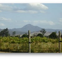 Ironbark Ridge Vineyard - Holiday Jervis Bay