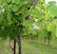 Holland Wines - Holiday Jervis Bay