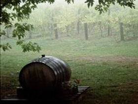 Arranmore Wines - Holiday Jervis Bay 2