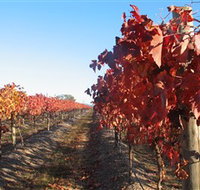 Kooyonga Creek Wines - Holiday Jervis Bay