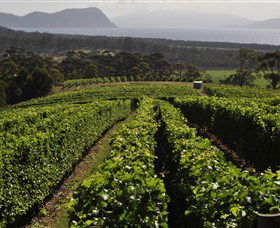 Bream Creek Vineyard - Holiday Jervis Bay 0