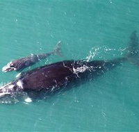 Fazshot Photography - Holiday Jervis Bay