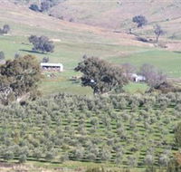 Wymah Organic Olives and Lambs - Holiday Jervis Bay