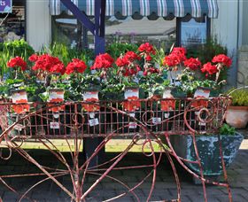 Van Loon's Nursery - Holiday Jervis Bay 0