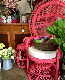 Van Loon's Nursery - Holiday Jervis Bay 3