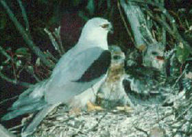 Bushy Park Wetlands - Holiday Jervis Bay 0