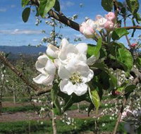 Mouat's Farm - Holiday Jervis Bay