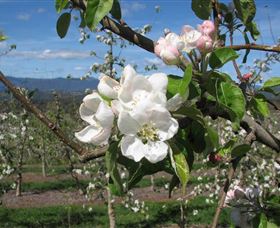 Mouat's Farm - Holiday Jervis Bay 0