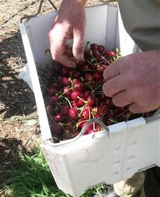 Mouat's Farm - Holiday Jervis Bay 3