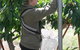 Mouat's Farm - thumb 4