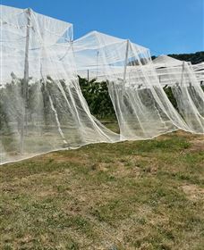 Mouat's Farm - Holiday Jervis Bay 5