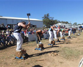Quirindi Rural Heritage Village - Holiday Jervis Bay 1